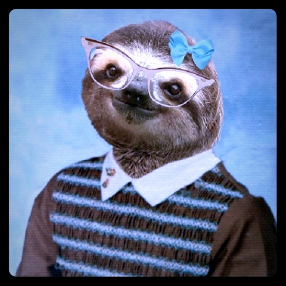 Meet your Posher Sue the sloth